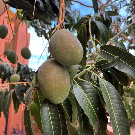 Paradise דירה La Tejita